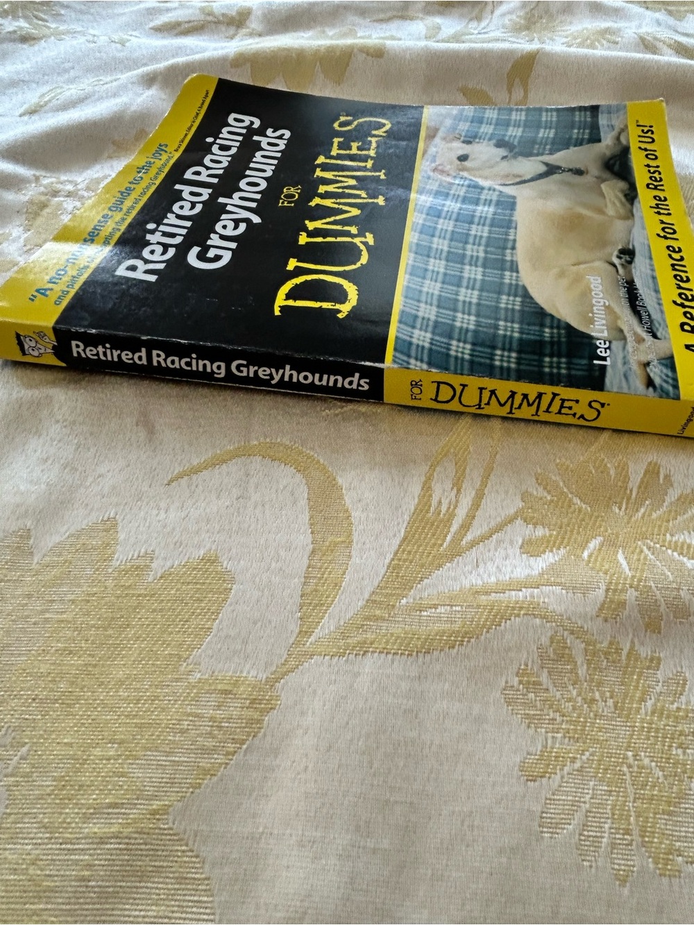 Retired Racing Greyhounds for Dummies - Picture 3 of 7